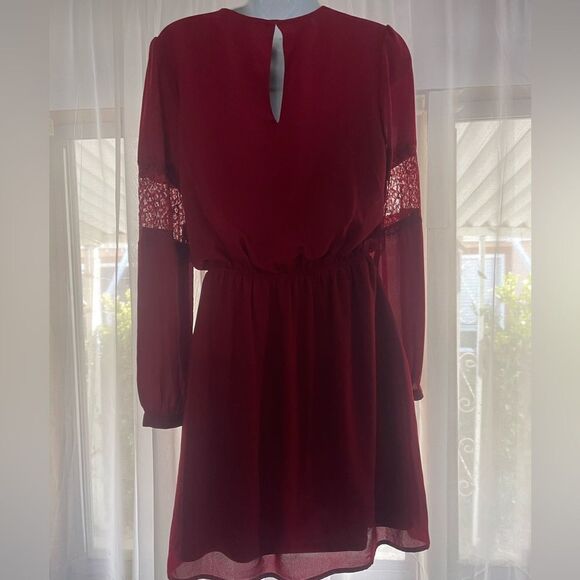 Express Small Dress with Lace Insert - Picture 5 of 7